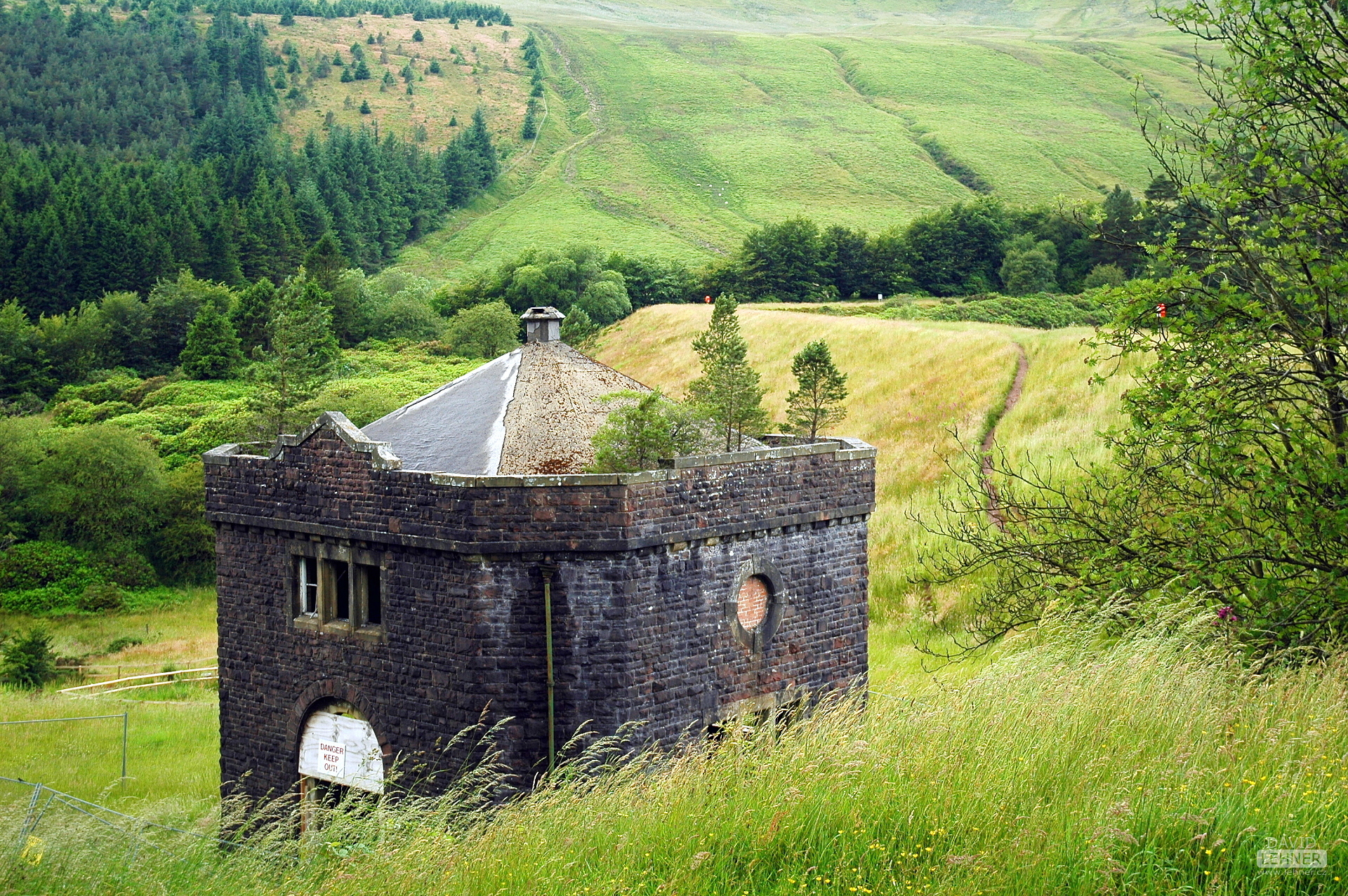 Landscape
