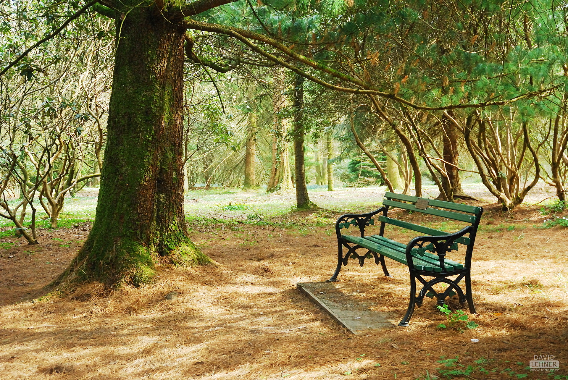 Cardiff Golf Park