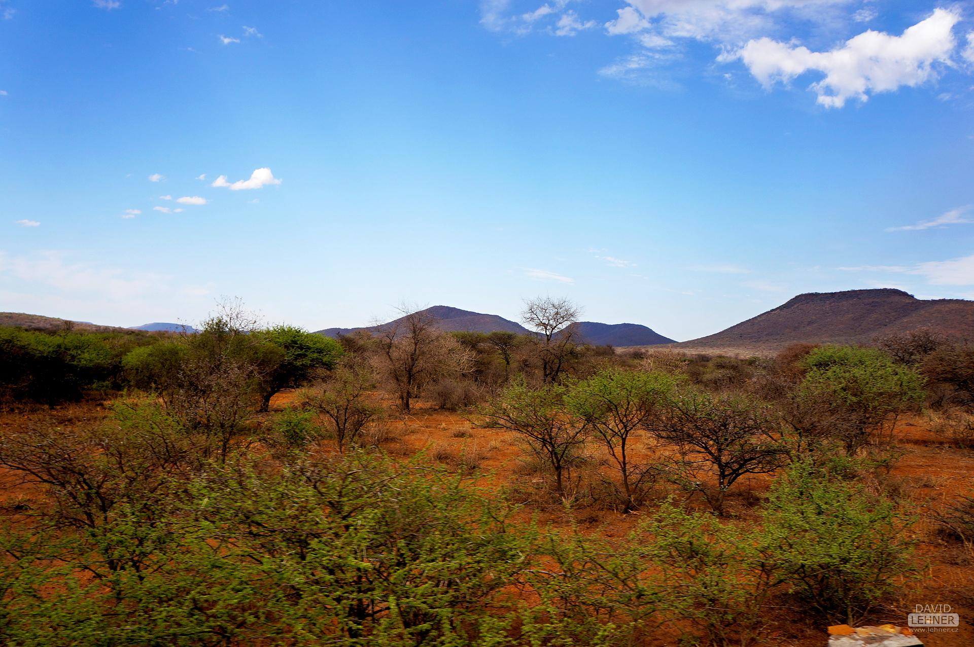 Botswana landscape