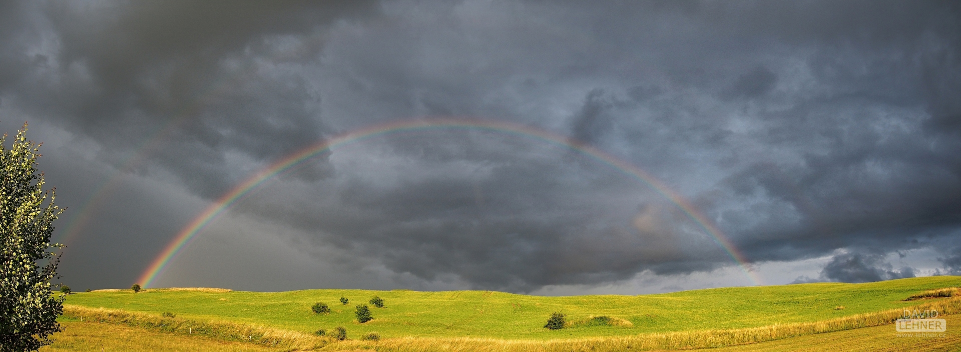 Rainbow