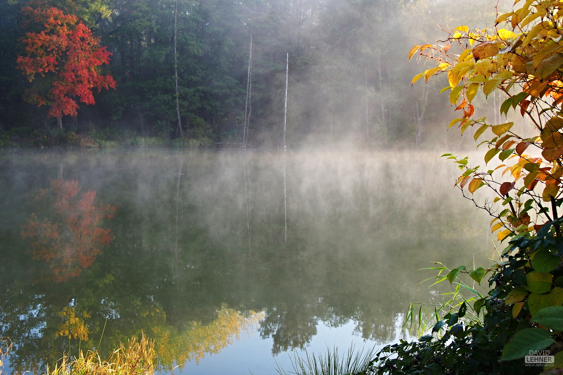 Misty lake