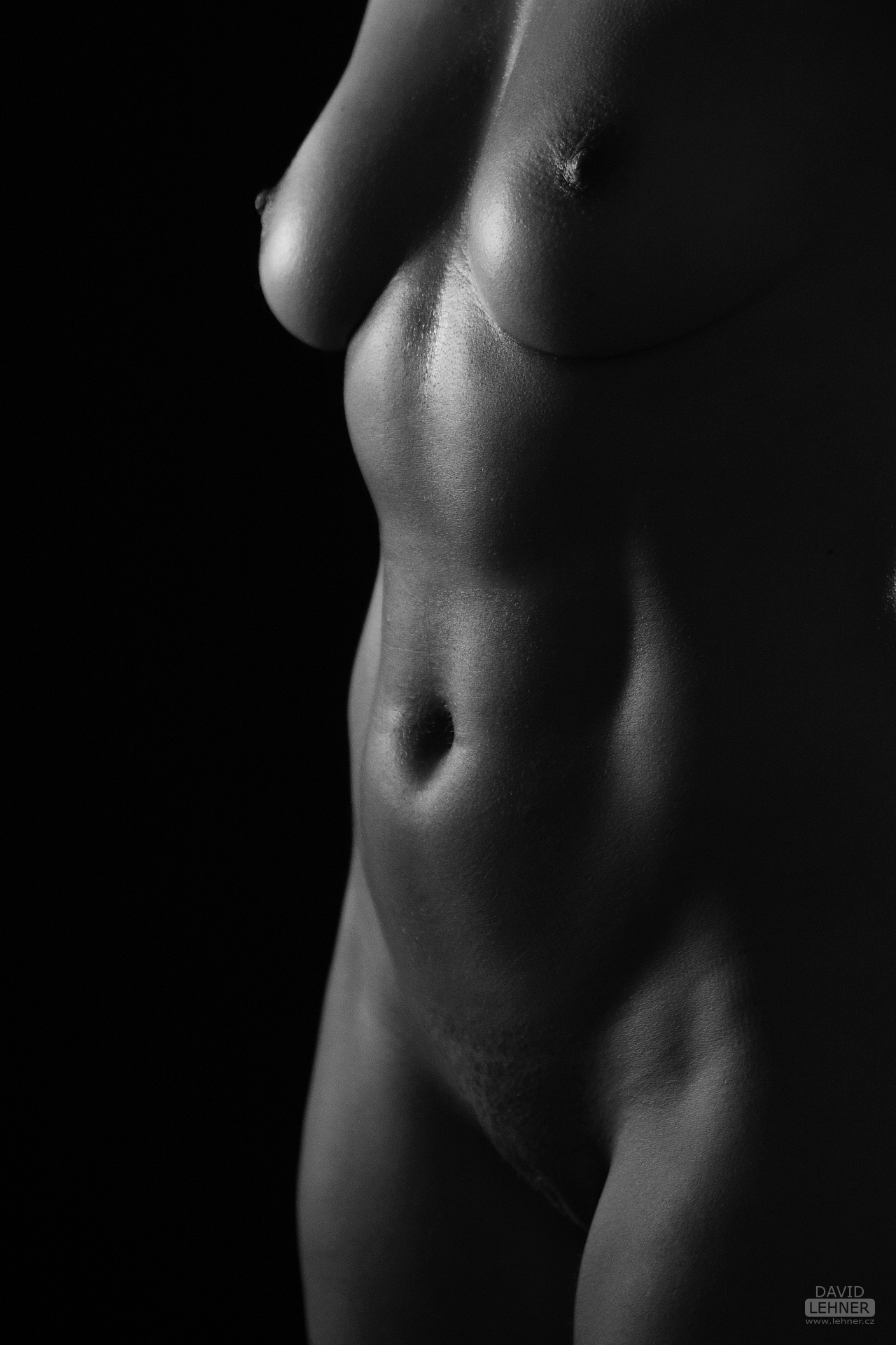 Lights and curves