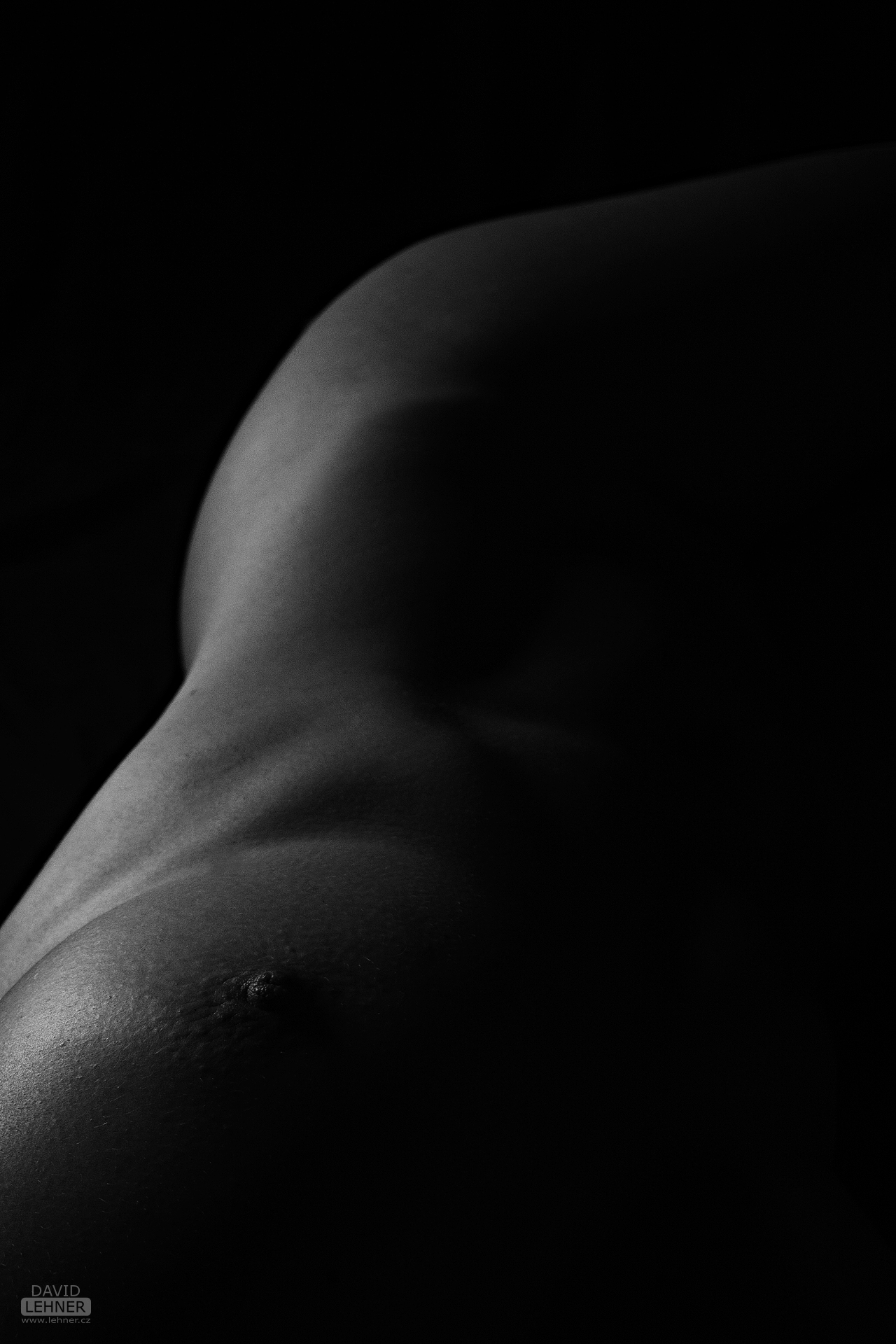 Lights and curves